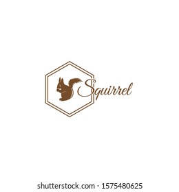 illustration squirrel vector logo icon