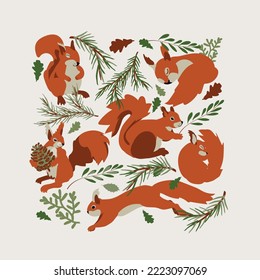 illustration with squirrels and fir branches. Vector design for paper, fabric and other surface.