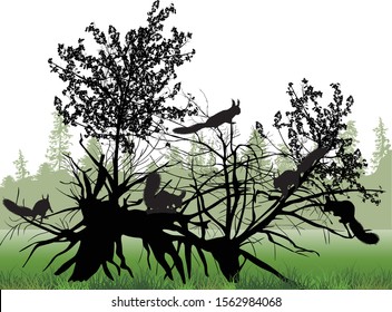 illustration with squirrels in forest on white background