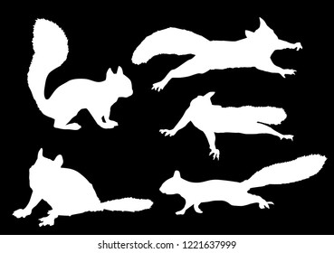 illustration with squirrels isolated on black background