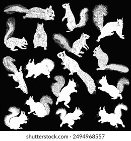 ilustración con ardillas aisladas sobre fondo negro