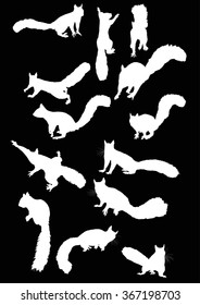 illustration with squirrels isolated on black background