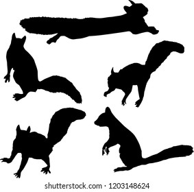 illustration with squirrels isolated on white background