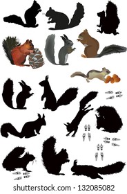 illustration with squirrels isolated on white background