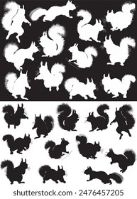 illustration with squirrels isolated on white and black background