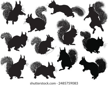illustration with squirrels isolated on white background