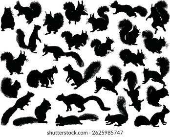 illustration with squirrels isolated on white background