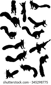 illustration with squirrels isolated on white background