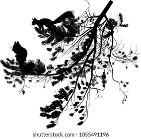 illustration with squirrels and pine tree branch isolated on white background