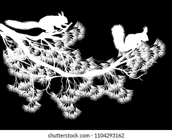 illustration with squirrels and pine tree branch isolated on black background