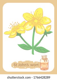 Ilustración del hilo de San Juan y botella de aromaterapia. Ilustración vectorial.