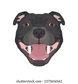 Illustration Staffordshire Bull Terrier | For all dog owners. What you love about his dog? Puppy dog ​​eyes, wagging tail, smiling, barking. The Staffordshire Bull Terrier is a man's best friend.
