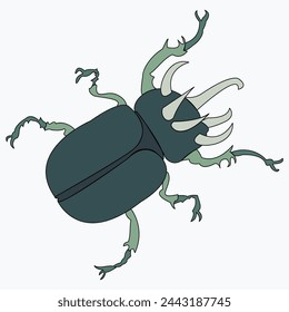 Illustration of Stag beetle and Japanese horned beetle.