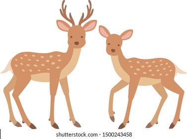 Illustration Of Stag And Female Deer