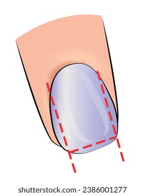 Illustration of the stages of forming a manicure nail plate for training in extensions in vector