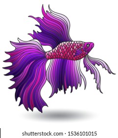 Illustration with stained glass elements, bright Cockerel fish isolated on white background