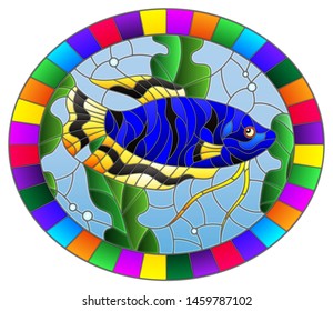 Illustration in stained glass style with blue gourami on the background of water and algae, oval image in bright frame