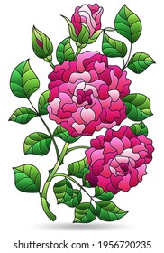 Illustration in stained glass style with a branch of a pink rose, flower isolated on a white background