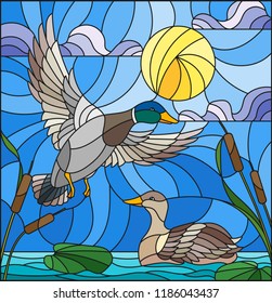 Illustration in stained glass style with ducks on a pond in the reeds against the cloudy sky and the sun