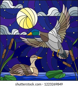 Illustration in stained glass style with ducks on a pond in the reeds against the cstarry sky and the moon