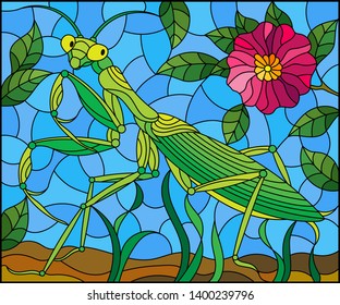 Illustration in stained glass style with green mantis and pink flower on grass and sky background