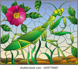 Illustration in stained glass style with green mantis and pink flower on grass and sky background