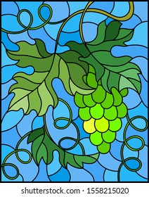 The illustration in stained glass style painting with a bunch of green grapes and leaves on blue background