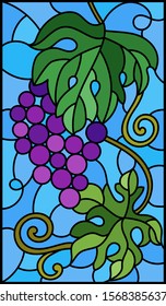The illustration in stained glass style painting with a bunch of red grapes and leaves on a sky  background