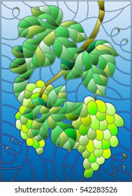 The illustration in stained glass style painting with a bunch of green grapes and leaves on blue background