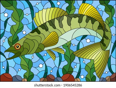 Illustration in stained glass style with pike perch fish on the background of algae, air bubbles and water