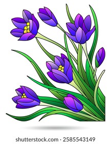 Illustration of stained glass Windows with Crocuses, isolated on a white background