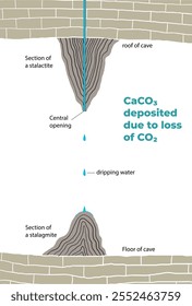 Illustration of stalagmite and stalactite section - vector