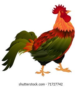 Illustration of a standing rooster over white background