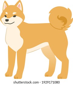 柴犬 尻尾 のイラスト素材 画像 ベクター画像 Shutterstock