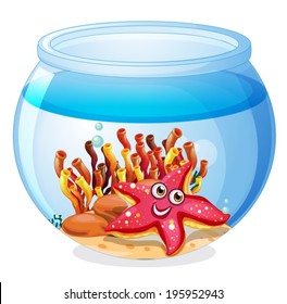 Illustration of a starfish inside the aquarium on a white background