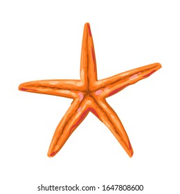 Illustration of starfish. Tropical underwater decorative sea animal.