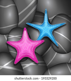 Illustration starfishes among sea pebble stones - vector