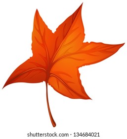 Illustration of a star-shaped autumn leaf on a white background