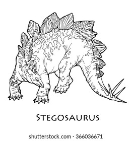 illustration of stegosaurus; kind of dinosaur
