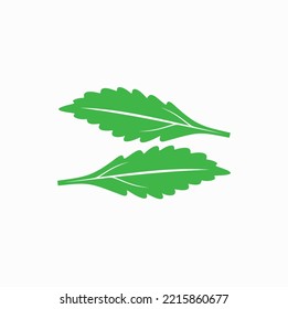 ilustración de la hoja de estevia o del azúcar de estevia, arte vectorial.