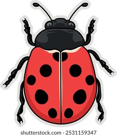 illustration sticker ladybug without background