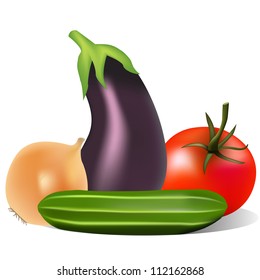 illustration still life with tomato onion cucumber eggplant