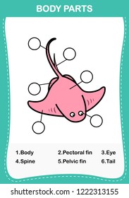 Illustration of stingray vocabulary part of body,Write the correct numbers of body parts.vector