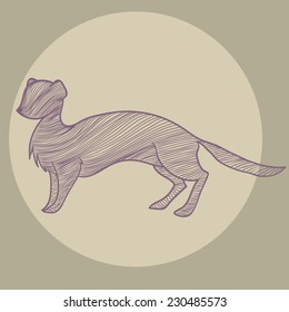 Illustration of stoat