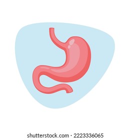 Illustration of stomach. Human organ anatomy. Perfect for design element, education, medical, or any publication purposes. 