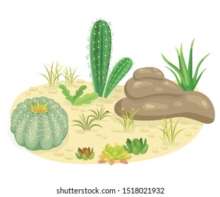 Illustration of stones and cacti in the desert