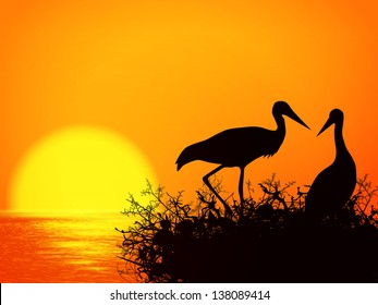 Illustration of Stork Nest Silhouette Over Sunset