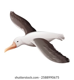 Illustration of a stork on white background, Vector image of a flying seagull 