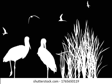 illustration with storks between reed silhouettes isolated on black background