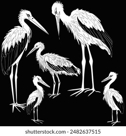 illustration with storks collection on black background